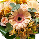 /fileuploads/Produtos/Bouquets e Ramos/thumb__Bouquet_Salmao_02.jpg